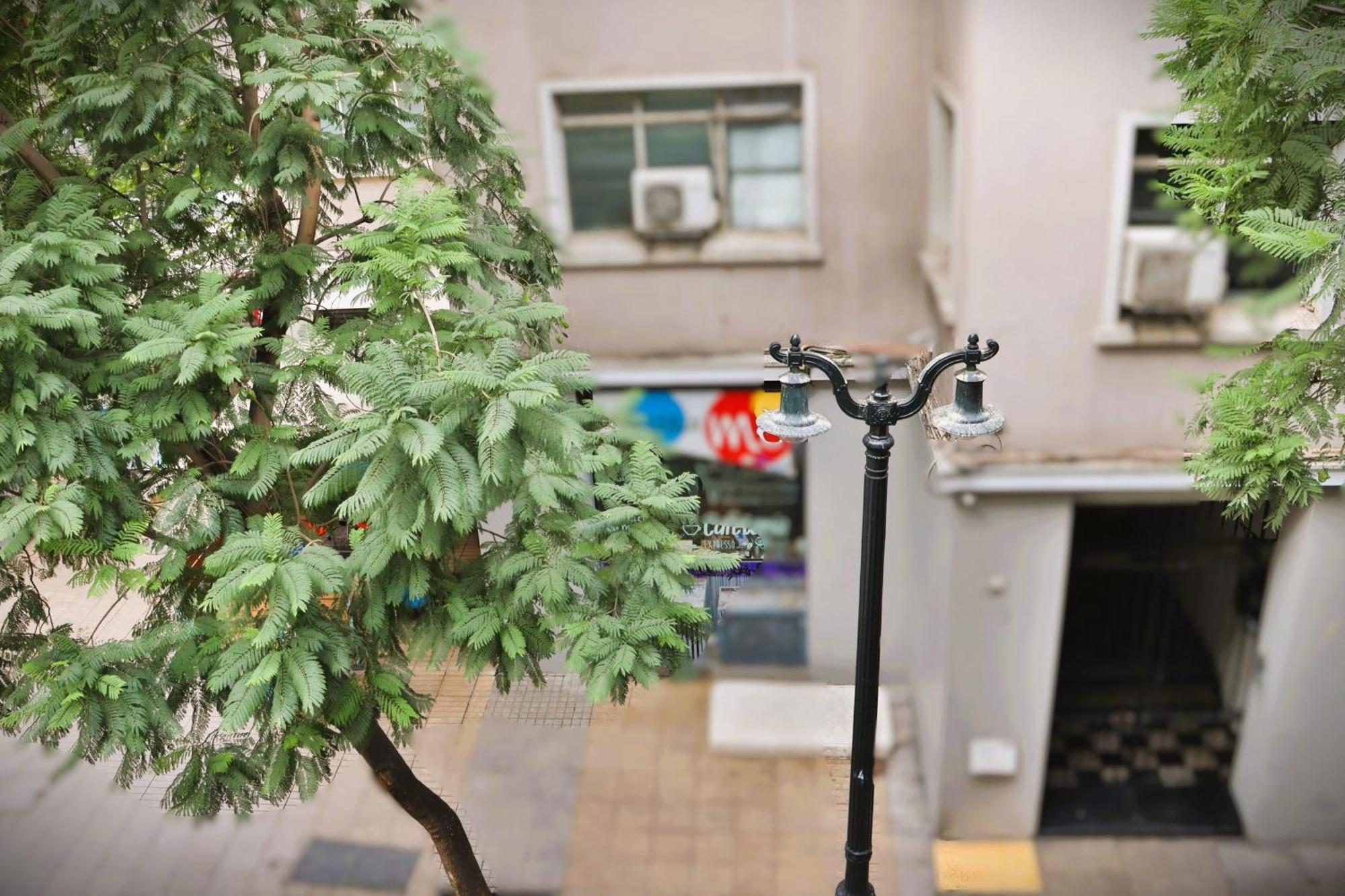 Apartamento Hom I Inmejorable En Calle Monjitas
